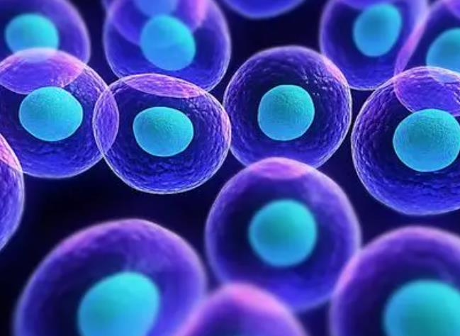 ؓ�x�ӻ���������_������������˥�ϵ�Ŀ��